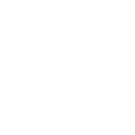 100% Mexican company